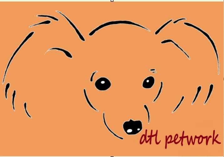 logo main